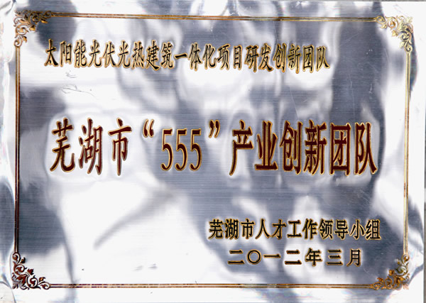 芜湖市555创新团队