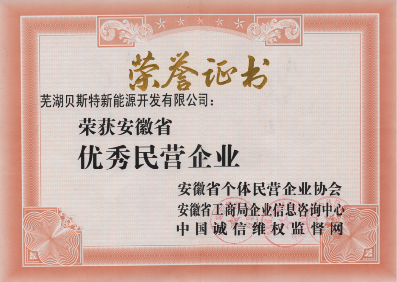 安徽优秀民营企业